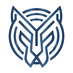 Liger Consulting